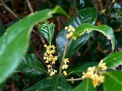 -宁波市保国寺古建筑博物馆