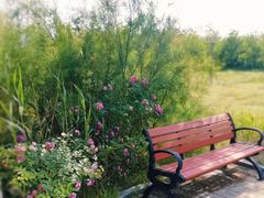 -天津东丽湖风景区