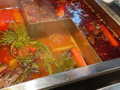 -红鼎坊·老成都火锅(新南门店)
