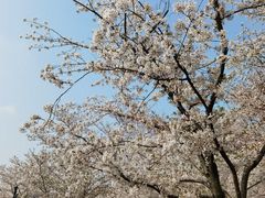 -苏州上方山国家森林公园