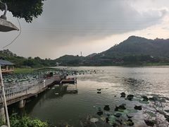 -好旺来农庄(凤岗店)