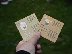 -陆家嘴中心绿地