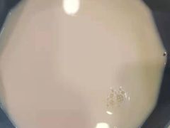 -魏家凉皮(协和店)