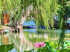 -月湖公园