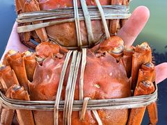 -蟹村草堂·苏式园林人文农家·大闸蟹