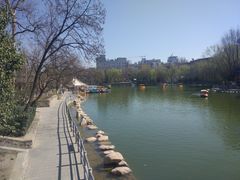 -莲湖公园