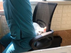 -美联众合动物医院·24h京西诊疗中心