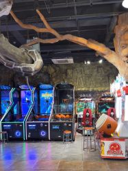 -卡通尼·Safari非洲探索乐园·生日会(金桥国际商业广场店)