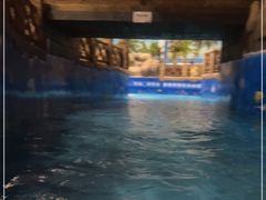 -青岛东方影都融创水世界