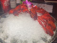 -京悦南门涮羊肉·羊蝎子火锅(田林路店)