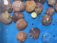 -小林哥的海鲜馆·夜宵烧烤(渔人码头店)