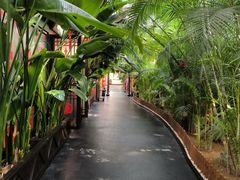 -东方华地城湿地温泉度假区