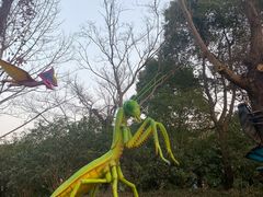 -自然谷恐龙园