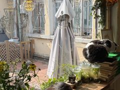 -海边的猫和咖啡馆