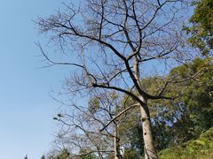 -广州市白云山风景名胜区