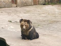 -贵州森林野生动物园