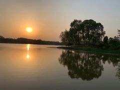 -东郊湿地公园