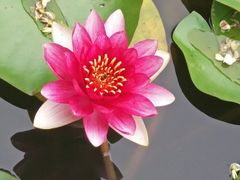 -南普公园