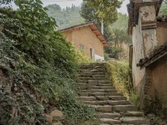 -杨家堂村