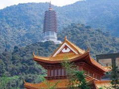 -深圳仙湖植物园