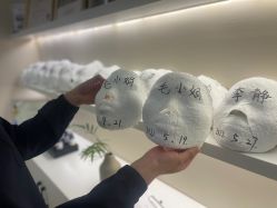-颜和骨正·明哲式骨相美学整骨