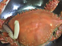 -张树军海鲜(王府壹号店)