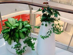 -CoCo都可(西宸天街店)