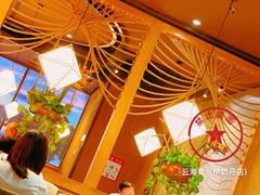 -云海肴·云南小炒·汽锅鸡(天津国金汇店)