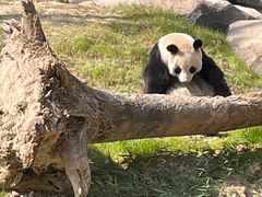 -宁波野生动物园
