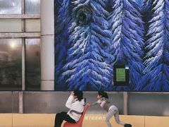 -世界之窗阿尔卑斯冰雪世界