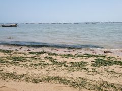 -兴城海滨风景区