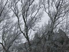 -綦江古剑山