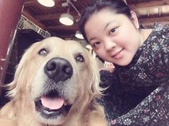 -疯狂小兔披萨(书林家园店)
