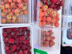 -南坛综合农贸市场