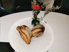 六头鲍鱼-红雀围·海鲜火锅(陆家嘴中心店)