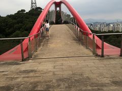 -金鸡山公园