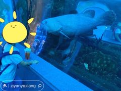 -乐从天佑城海洋馆