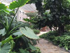 -龙达温泉生态城