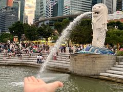 -鱼尾狮公园