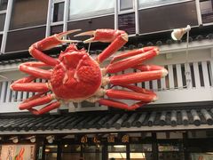 -蟹道乐(道顿堀本店)