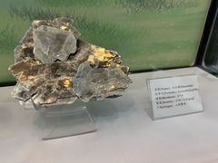 -中国第四纪冰川遗迹陈列馆
