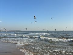 -老虎石海上公园