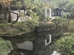 -秋霞圃