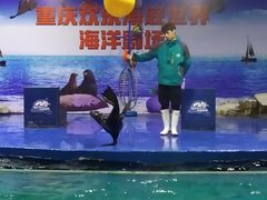 -重庆欢乐海底世界