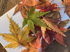 -千佛斋素菜馆