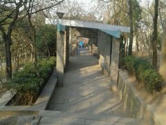 -观象山公园