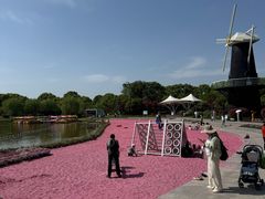 -上海鲜花港