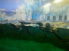 -常州海昌海洋探索馆