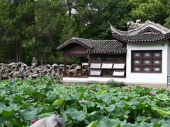 -无锡蠡湖国家湿地公园-蠡园