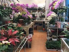-双季花艺园艺市场(浦东店)